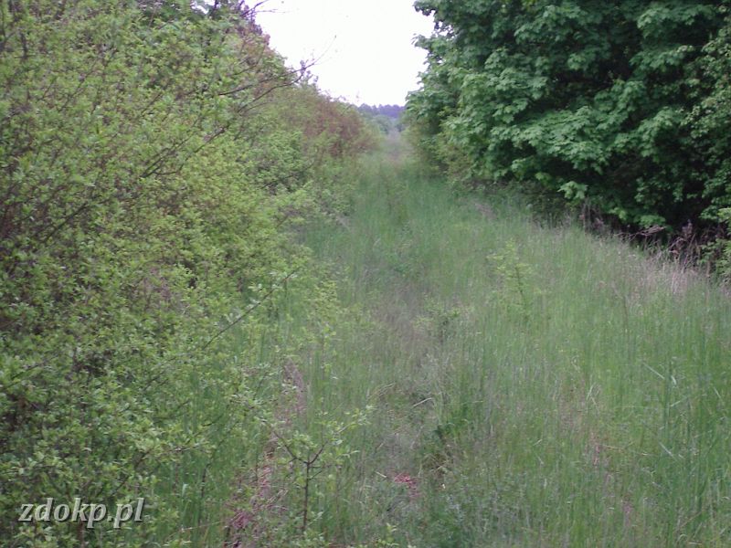 2005-05-23.086 stawiany-kiszkowo widok na gniezno.jpg - linia Gniezno Winiary -Sawa Wlkp., ok. 32.9 km, 12A - widok w kierunku Stawian